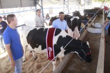 estao-abertas-as-inscricoes-para-o-torneio-leiteiro-da-49a-expomontes