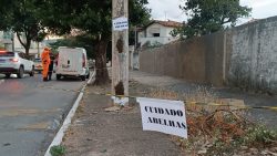 corpo-de-bombeiros-e-acionado-para-capturar-enxame-dentro-de-poste-de-iluminacao-em-montes-claros