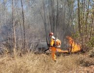 incendio-atinge-area-equivalente-a-950-campos-de-futebol-em-ubai;-bombeiros-trabalharam-por-4-dias-ate-o-fogo-ser-controlado