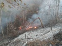 idoso-morre-carbonizado-ao-tentar-combater-incendio-em-area-de-vegetacao-no-norte-de-minas