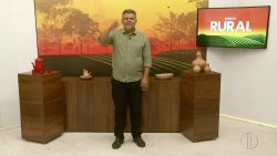 videos:-inter-tv-rural-de-domingo,-17-de-dezembro-de-2023