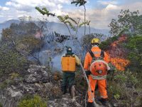 apos-cinco-dias-de-combate,-incendio-e-controlado-no-parque-estadual-de-grao-mogol