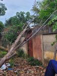 bombeiros-atendem-ocorrencias-de-quedas-de-arvores-apos-forte-chuva-e-ventania,-em-montes-claros