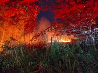 bombeiros-combatem-incendio-de-grande-proporcao-em-area-de-vegetacao,-em-tres-marias