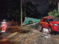 chuva-provoca-alagamentos-e-deixa-familias-desalojadas-em-salinas;-veja-video